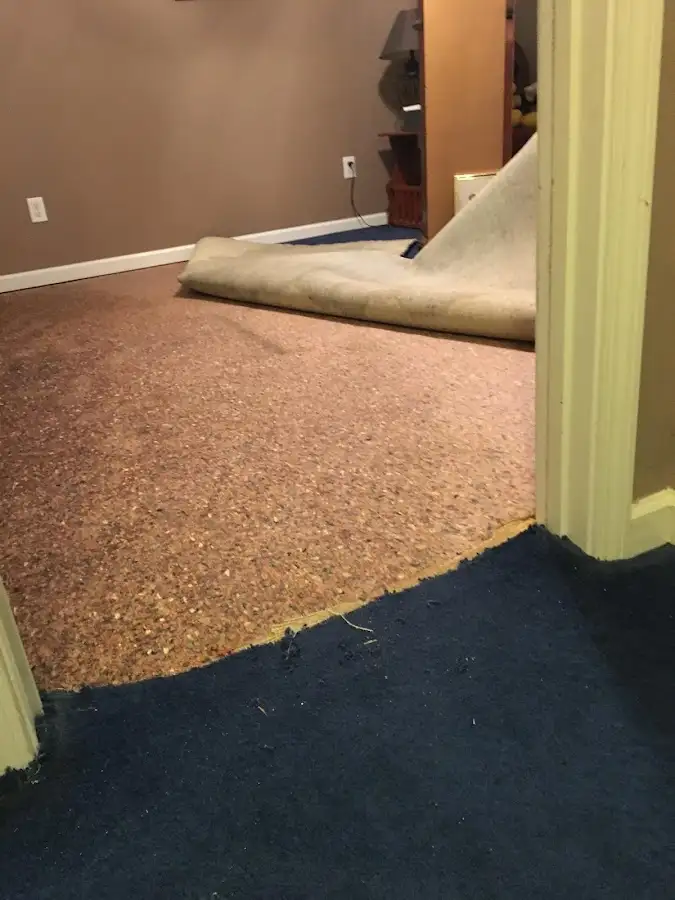 Carpet pad removal revealing water damage during Water Mitigation Services in Cameron Park